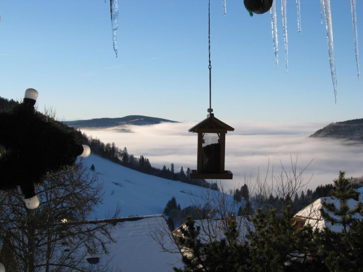 Schoene Aussicht Todtnau Exterior photo